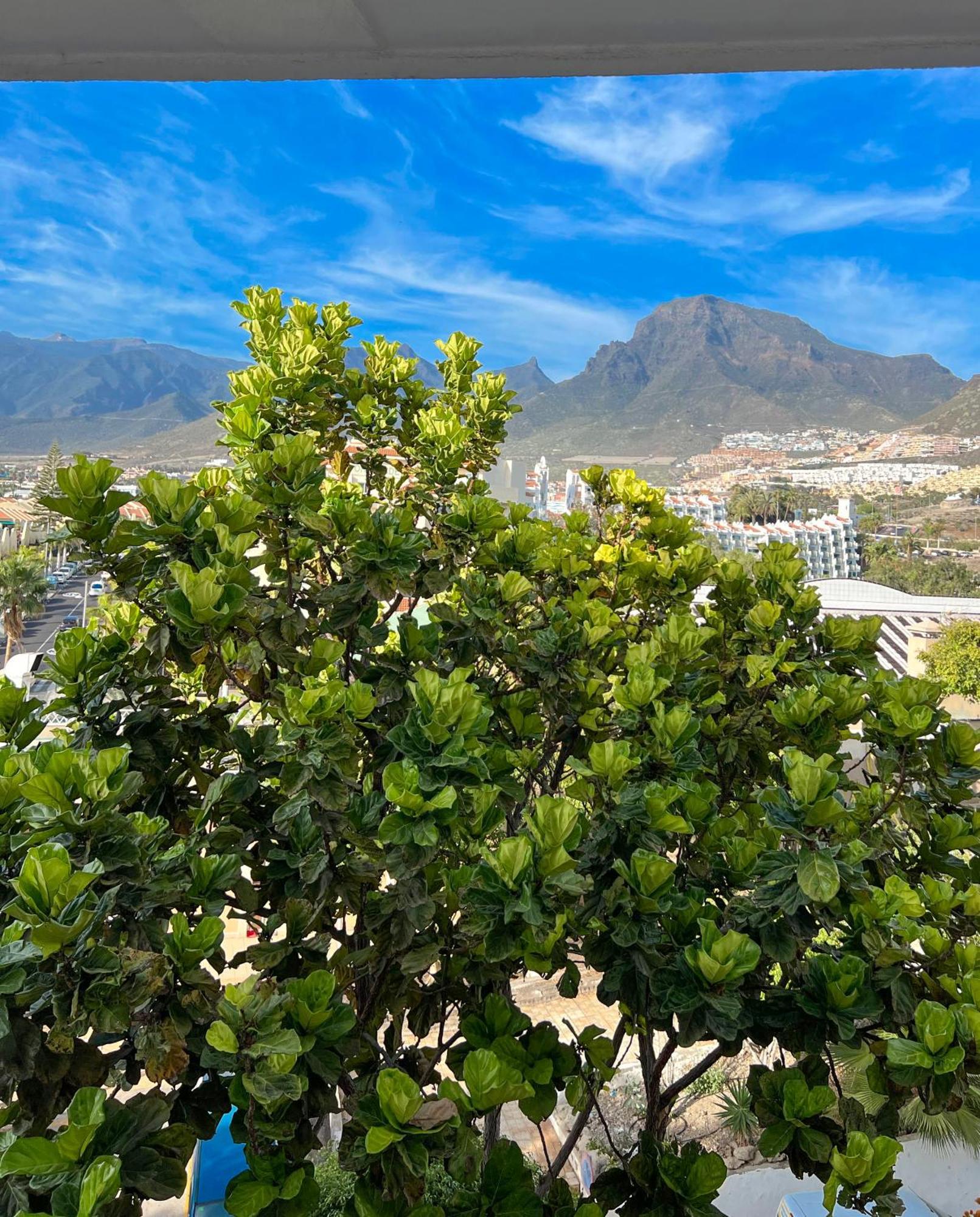 Tenerife Paradise Anna Studio Costa Adeje  Esterno foto